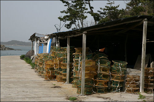 멸치를 삶는 '멸막'에 통발들이 가득하다. 